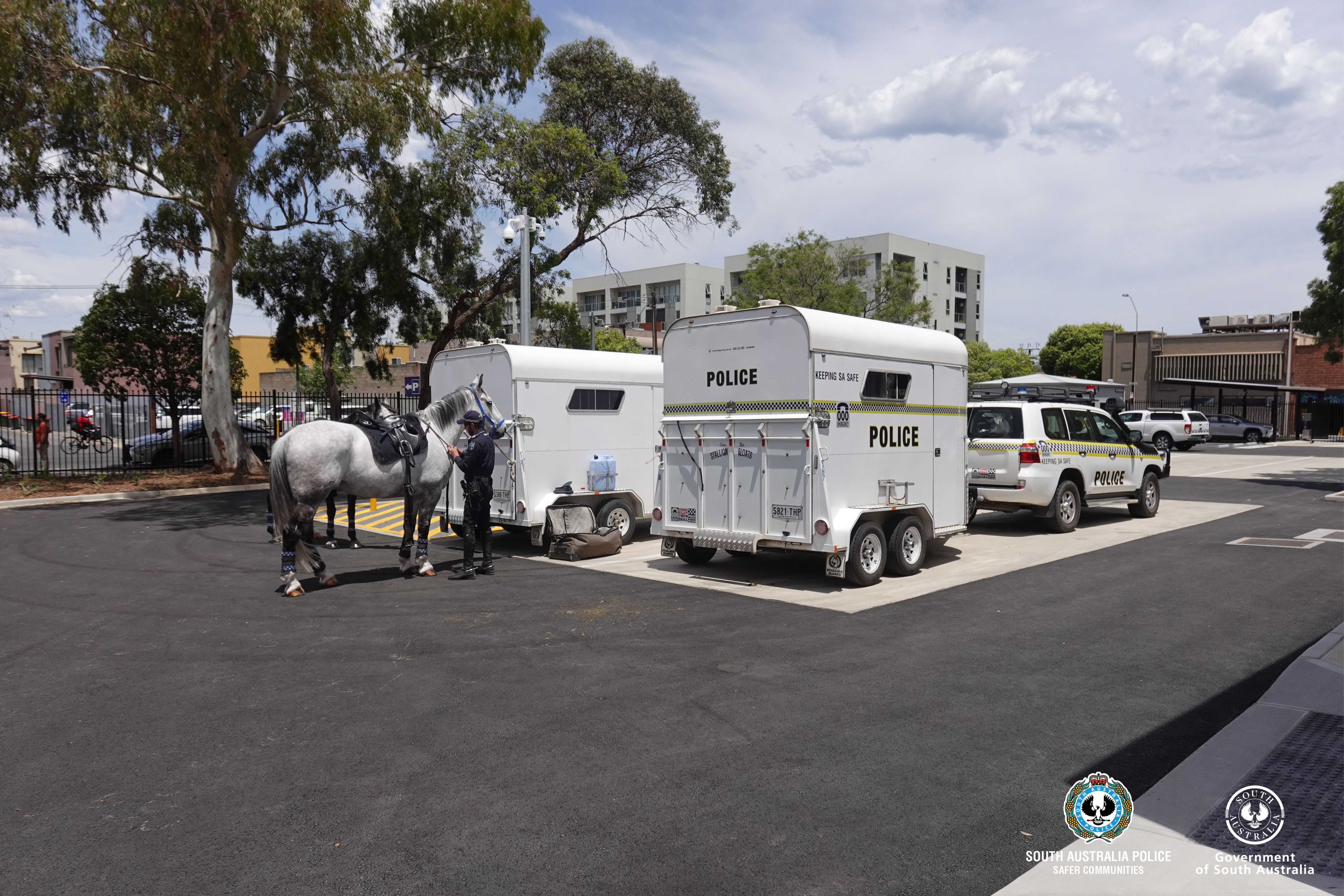 Police horses at the City Staging Facility being unloaded from float